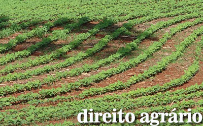 Artigo 184 cf